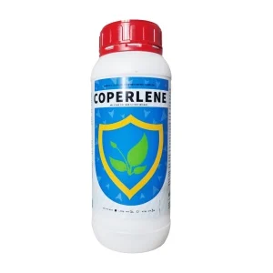 COPERLENE ENV. 1 L